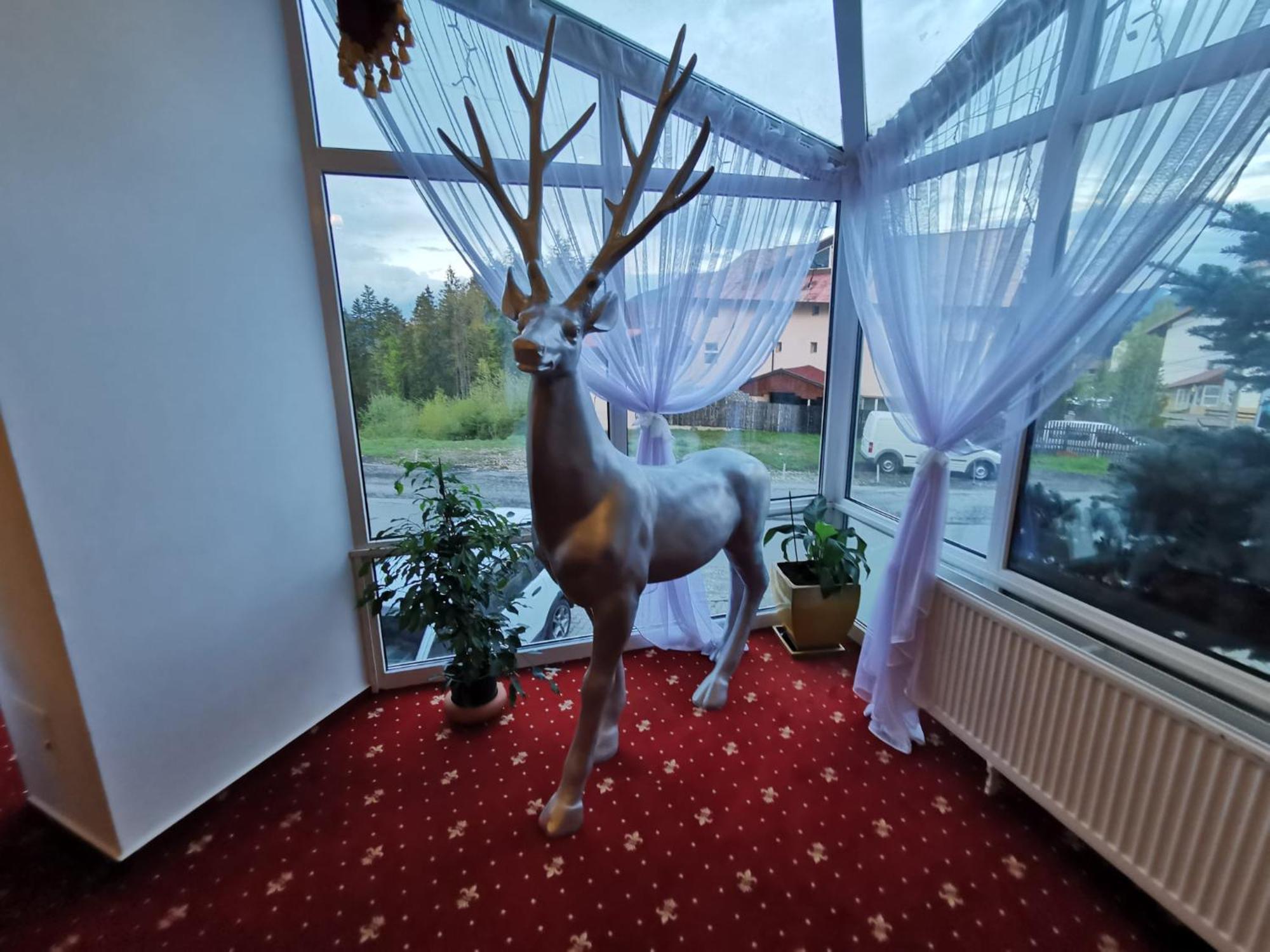 Atrium Panoramic Hotel & Spa Predeal Dış mekan fotoğraf